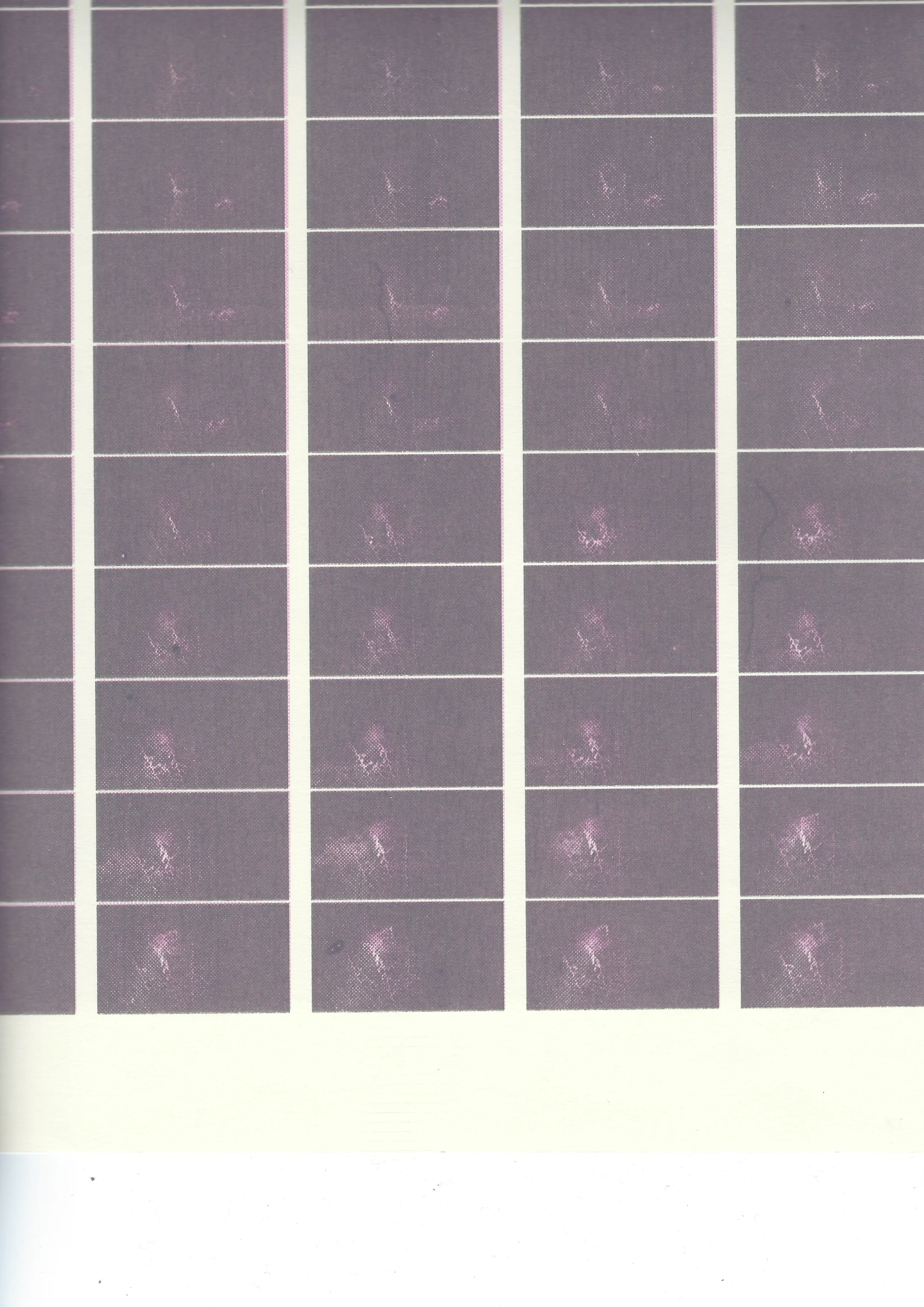 Rows of purple halftone frames tracing the cuttlefish as its body becomes more visible.